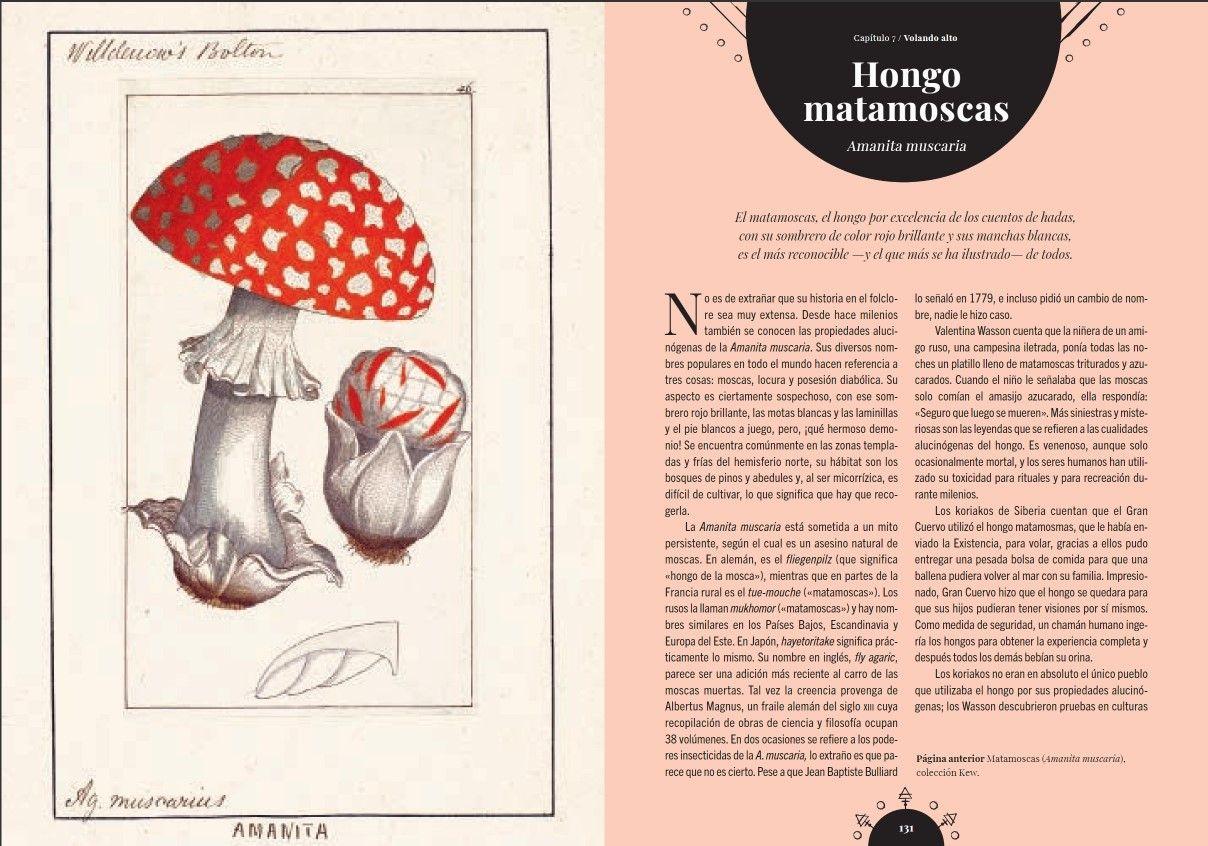 Magia De Los Hongos de Editorial Blume-3