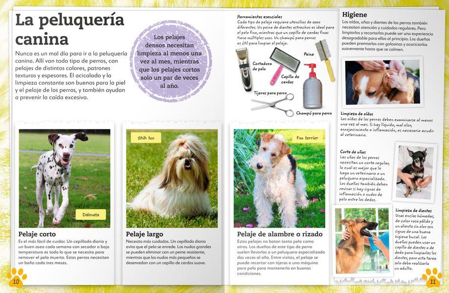 Libro Mi Libro de Perros y Cachorros-4