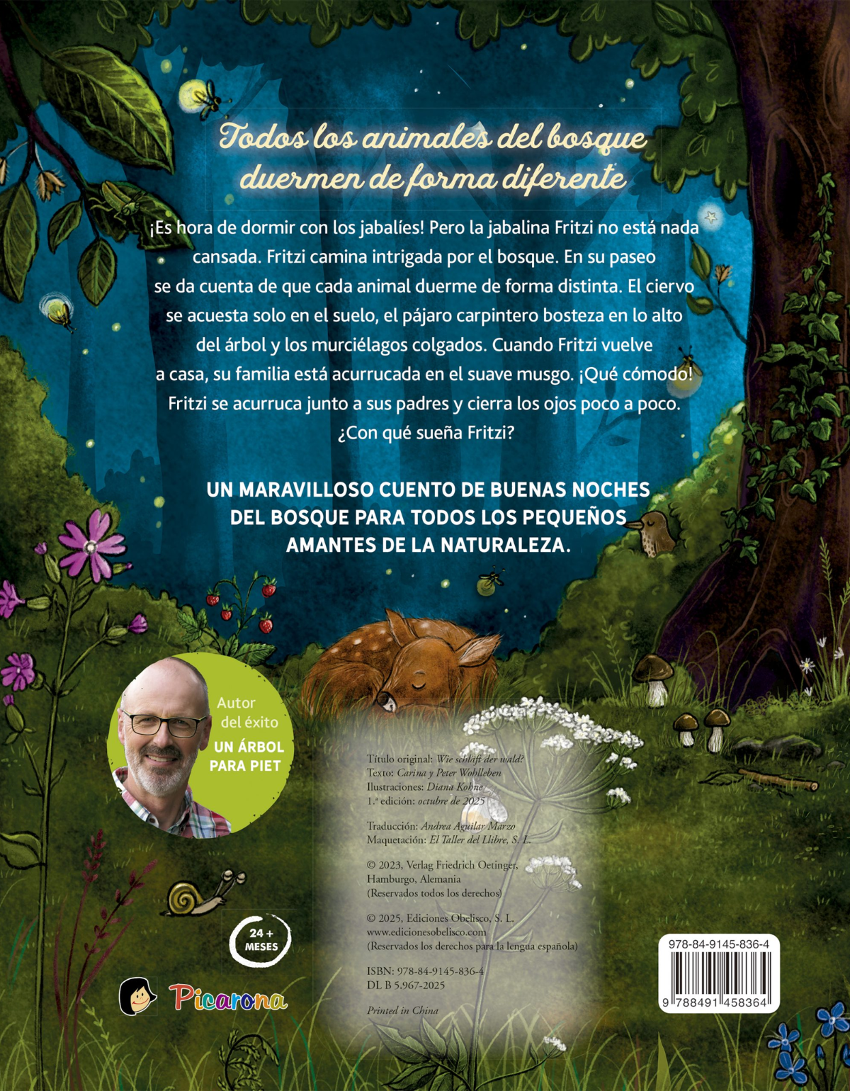 ¿Cómo duerme el bosque?-2