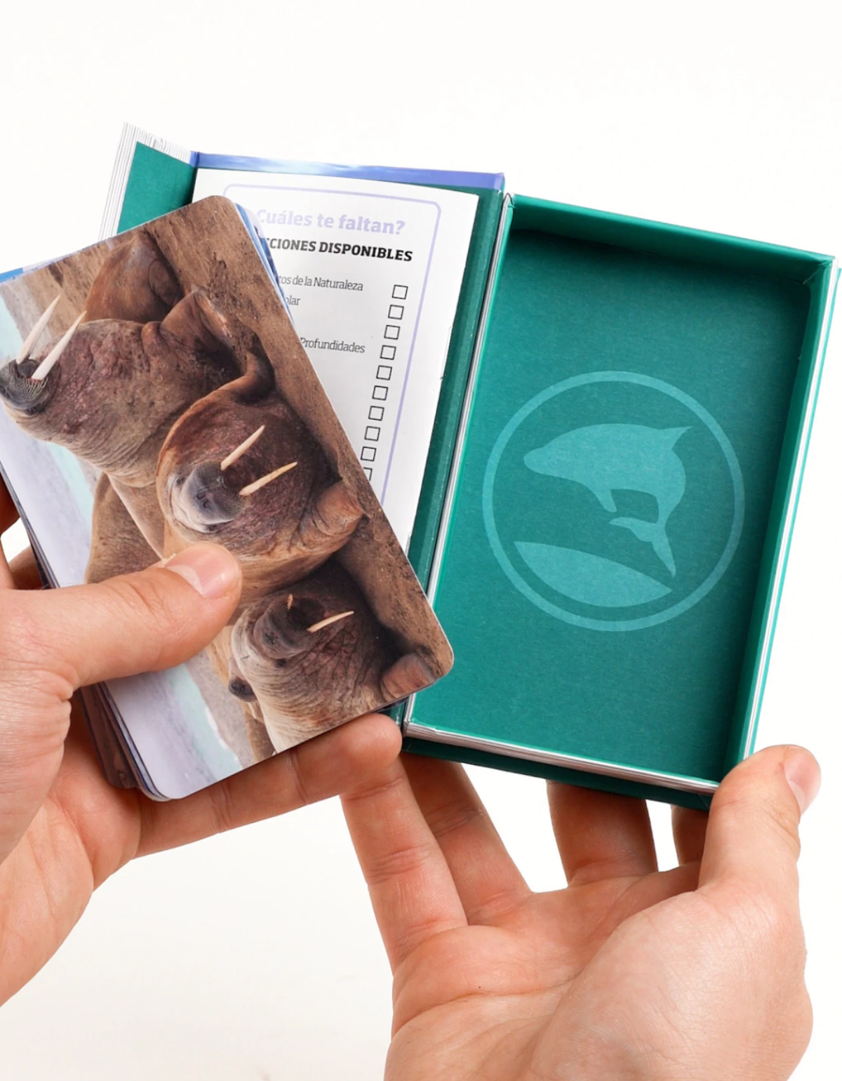 Enciclopedia de animales. Mamíferos marinos-2