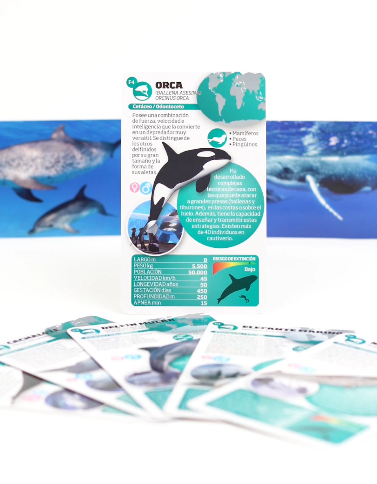 Enciclopedia de animales. Mamíferos marinos-4