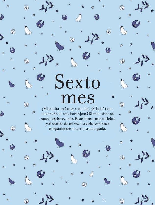 Pequeño Diario De Mi Embarazo-4