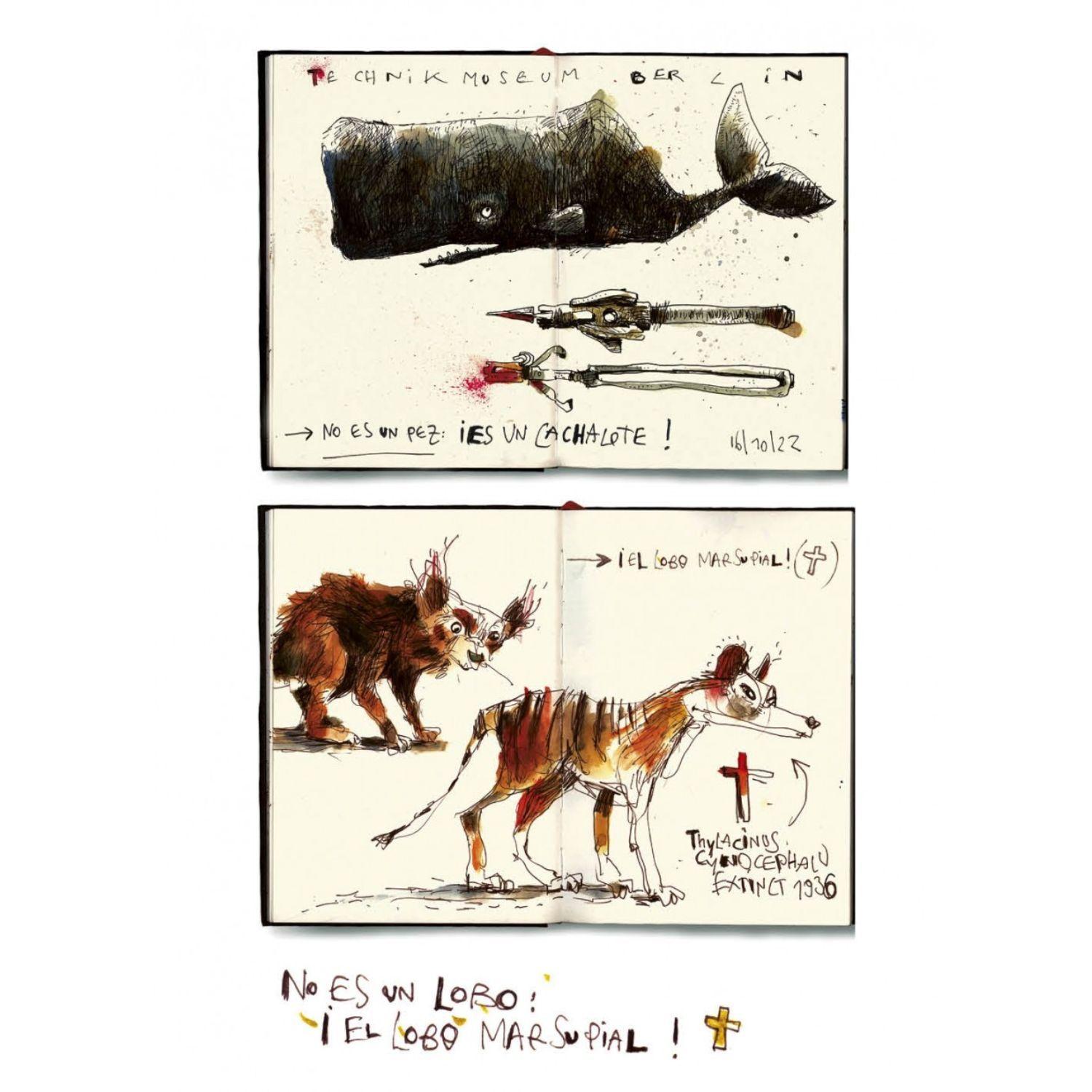 Dibujar animales y comprenderlos-4