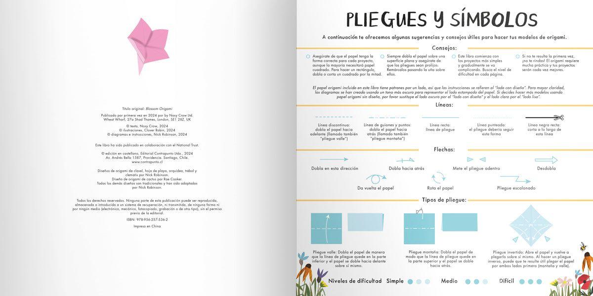 Origami de Flores de Editorial Contrapunto-8