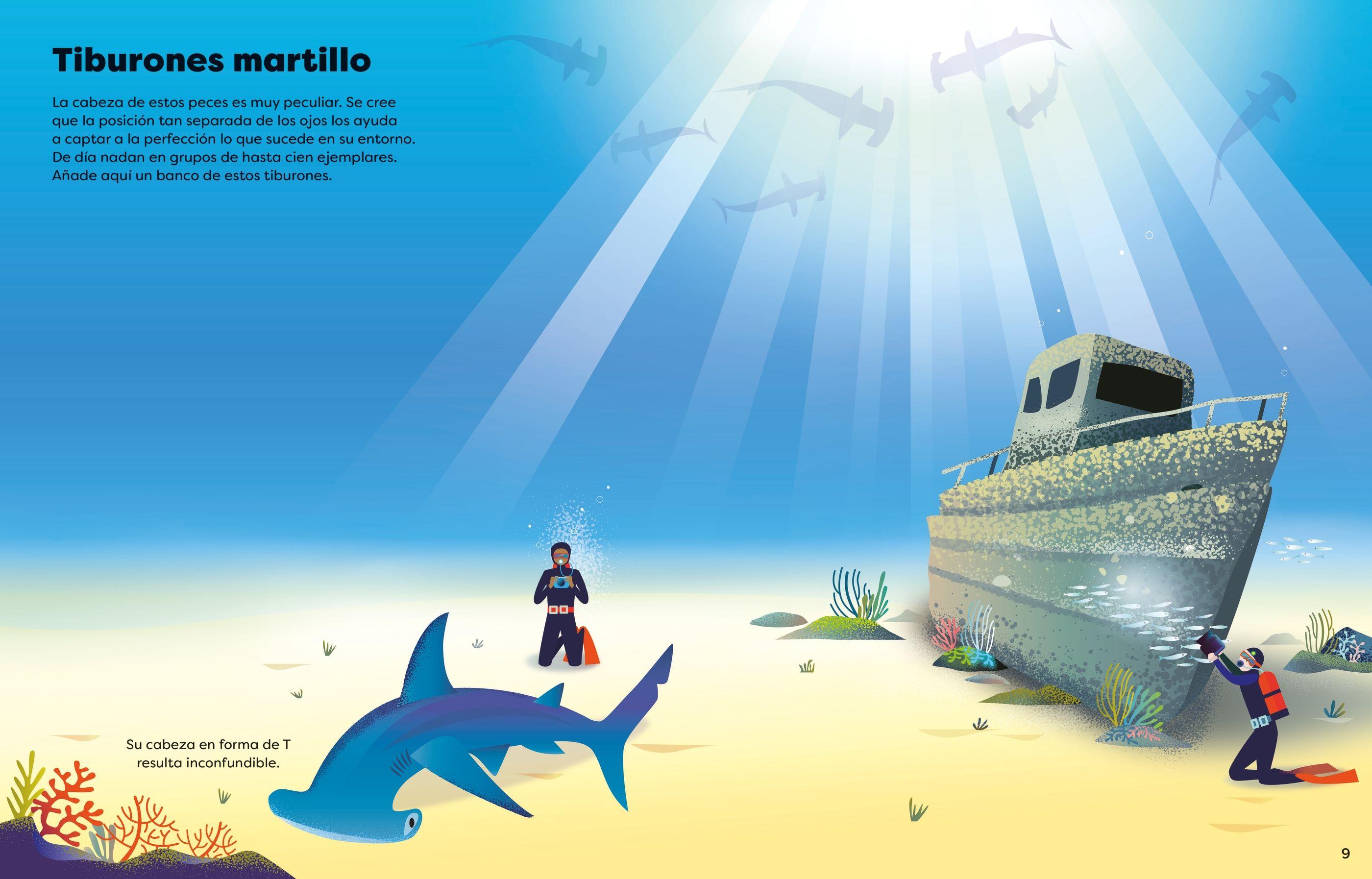 Tiburones-3