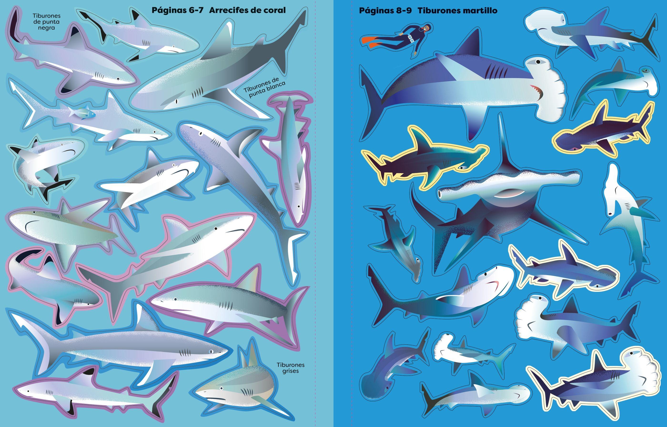 Tiburones-4
