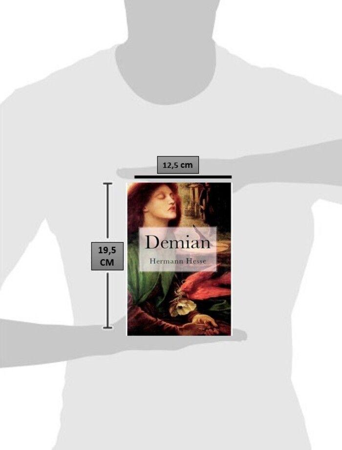 Libro Demian-1