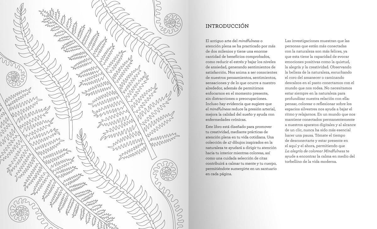 La alegría de colorear mindfulness-6