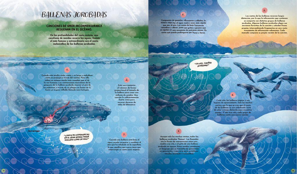Libro El Lenguaje de la Naturaleza-2
