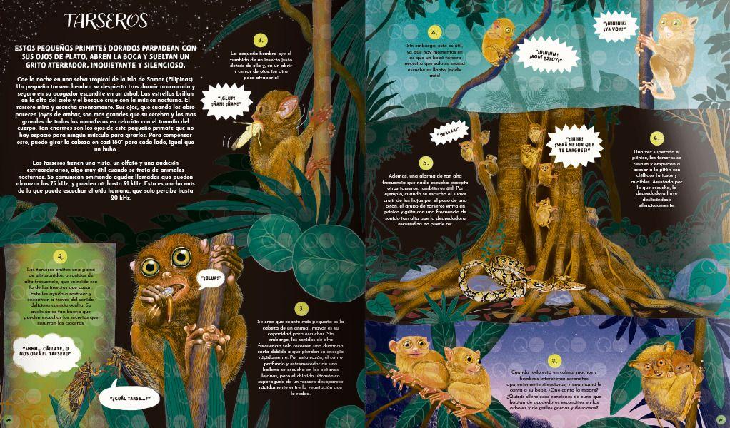 Libro El Lenguaje de la Naturaleza-3