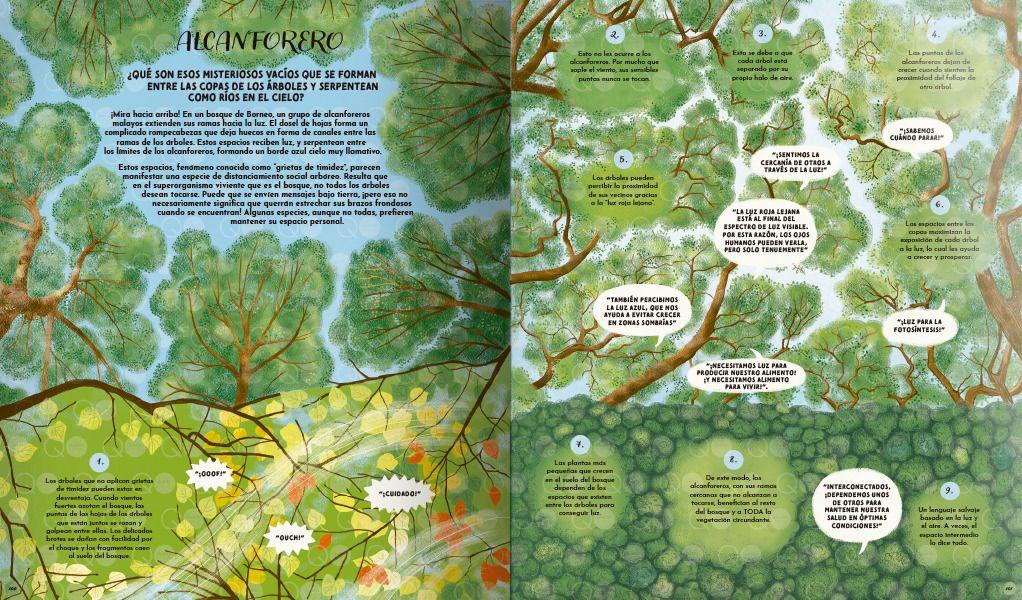 Libro El Lenguaje de la Naturaleza-5