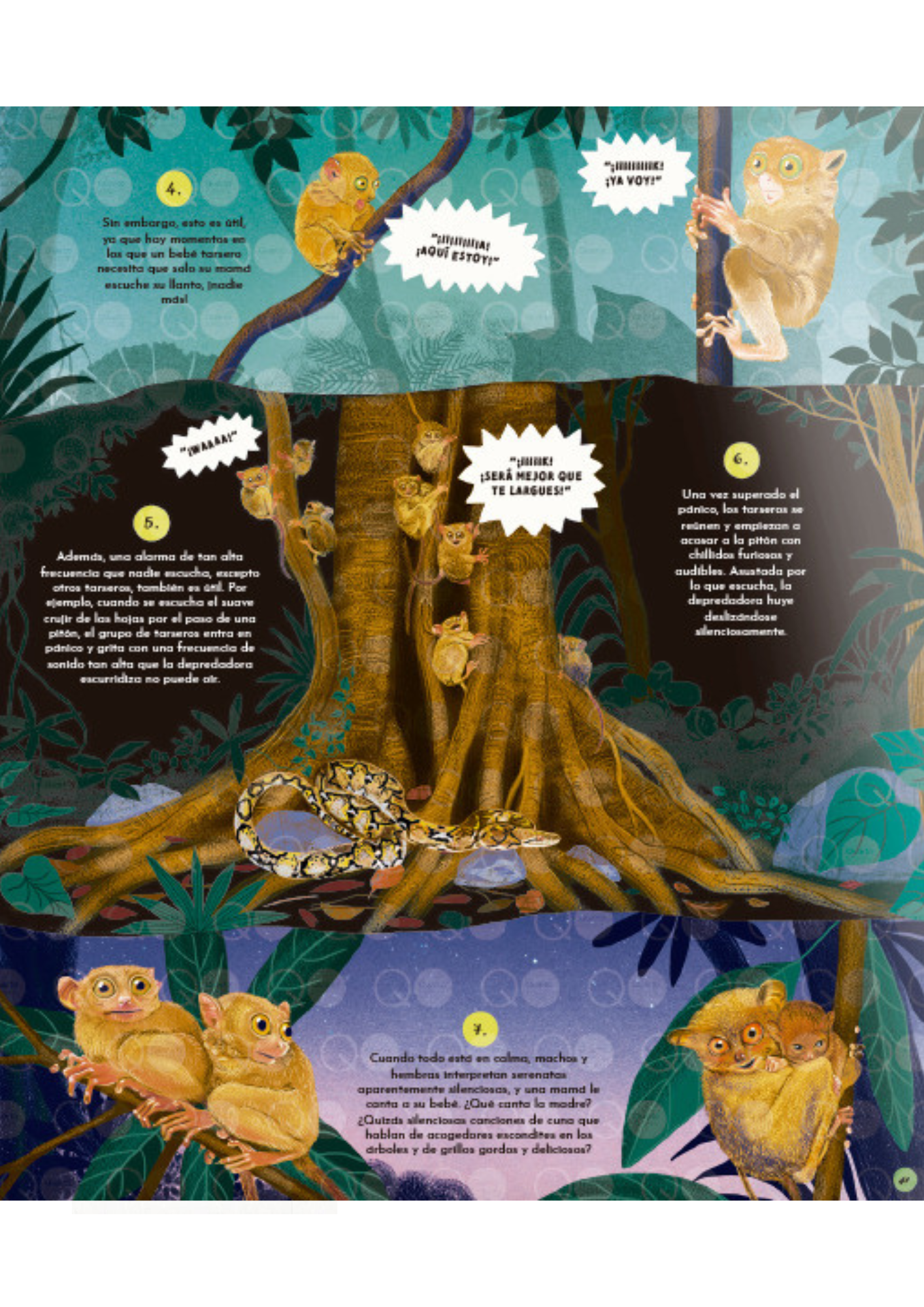 El Lenguaje de la Naturaleza-3