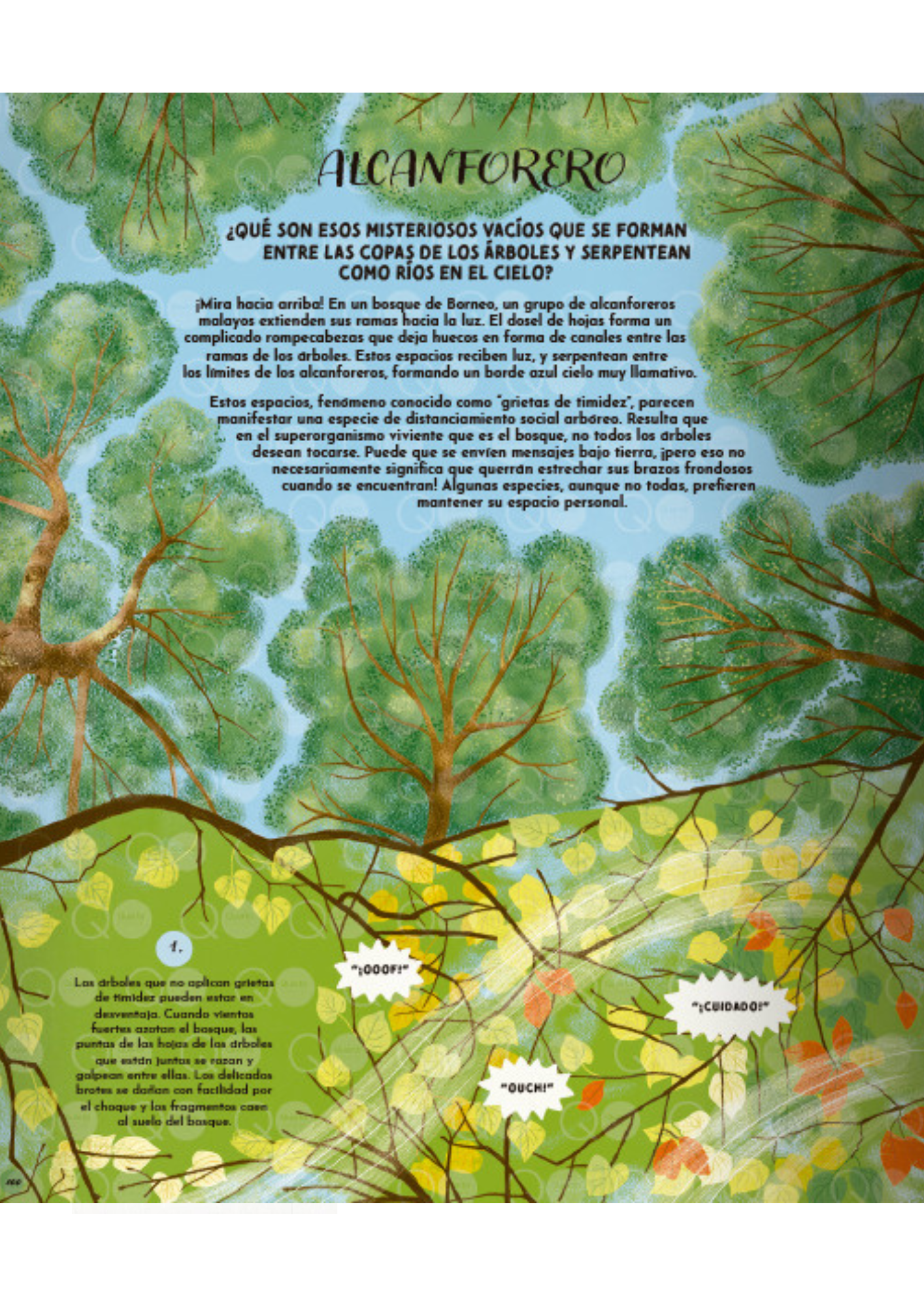 El Lenguaje de la Naturaleza-4