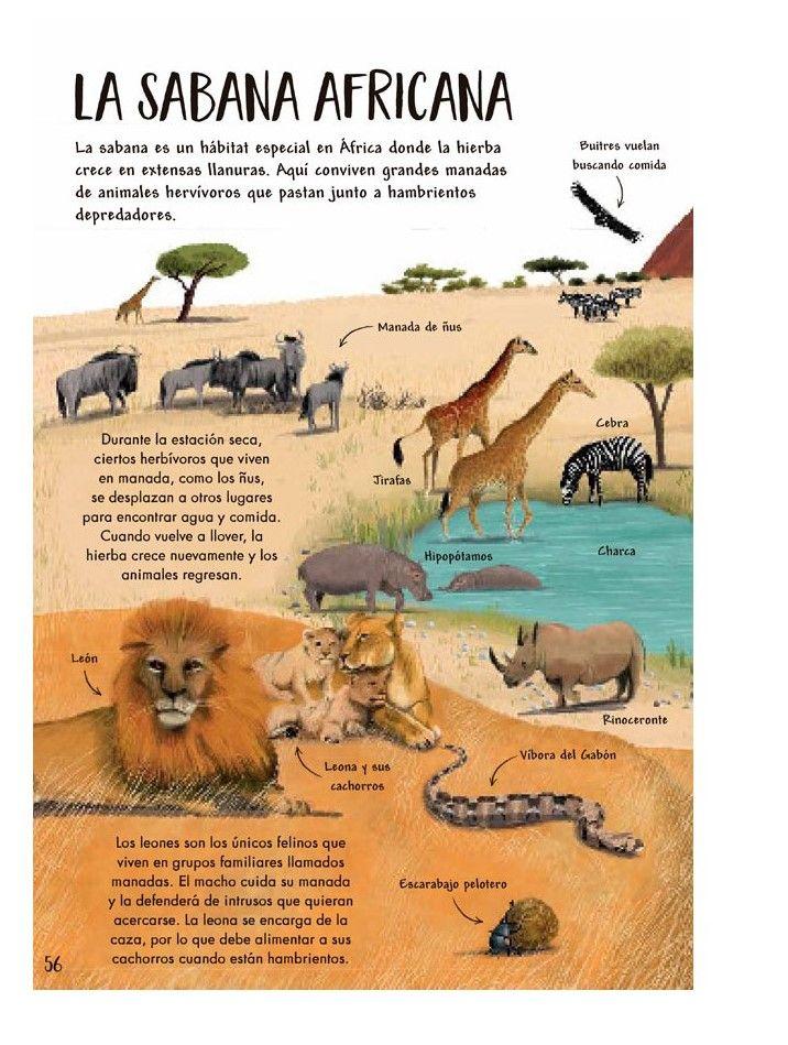Libro Mi Primer Libro De La Naturaleza-2