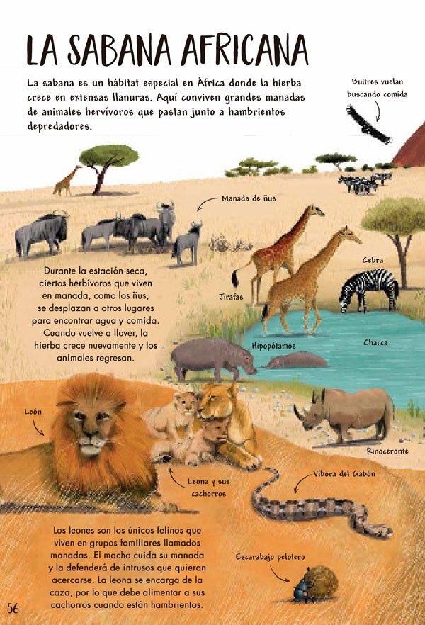 Mi Primer Libro De La Naturaleza-6