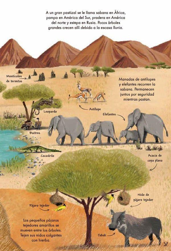 Mi Primer Libro De La Naturaleza-7