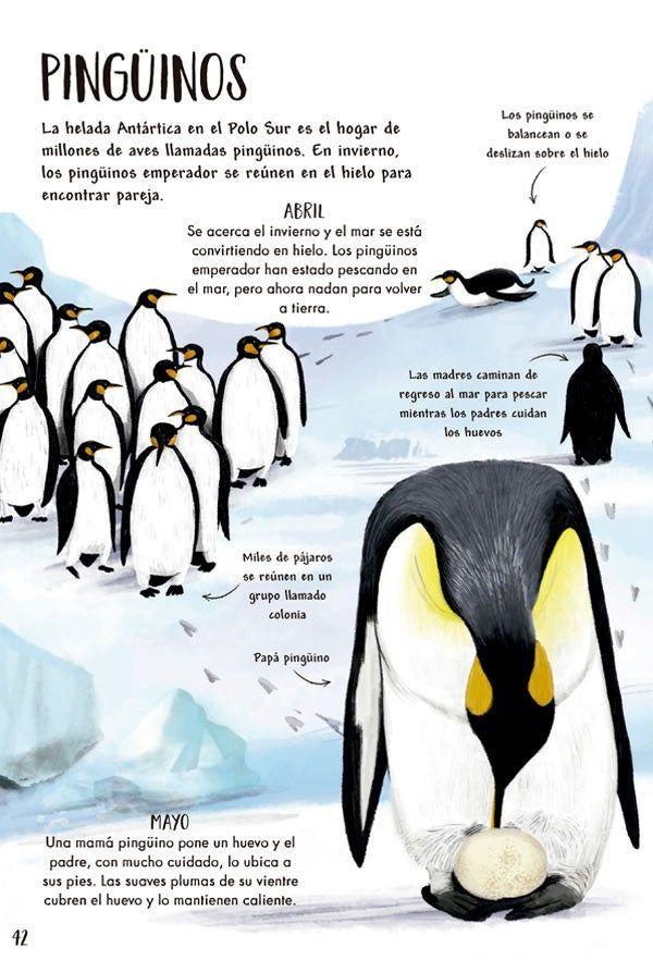 Mi Primer Libro De La Naturaleza-8