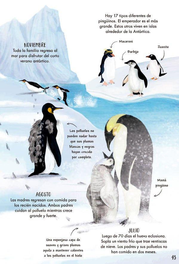 Mi Primer Libro De La Naturaleza-9