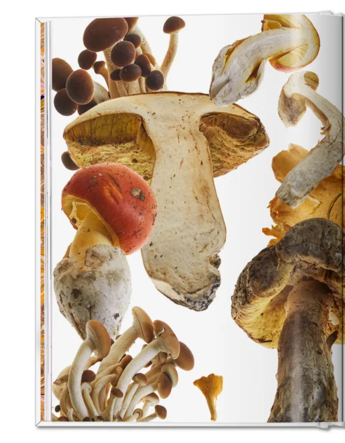 The Gourmand's Mushroom. A collection of stories and recipes-3