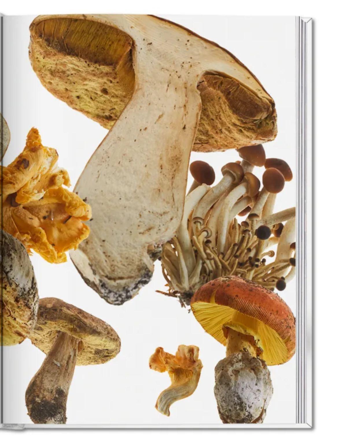 The Gourmand's Mushroom. A collection of stories and recipes-4