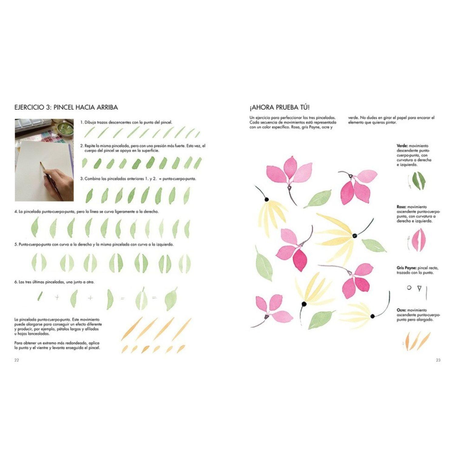 Acuarela botánica-2