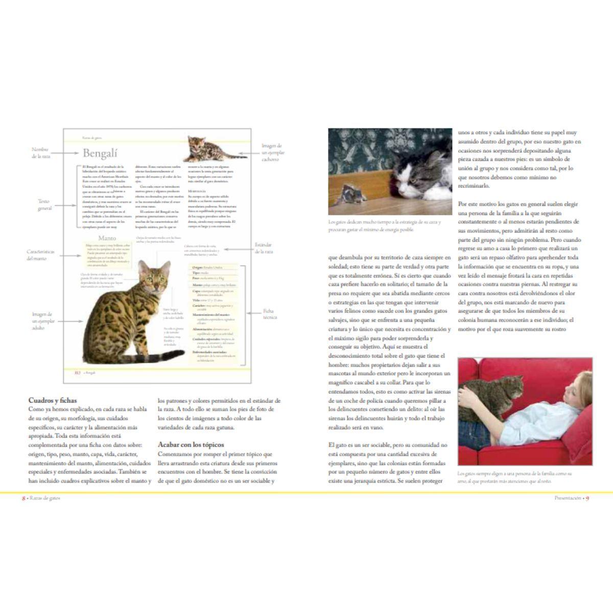 Enciclopedia de las razas de gatos-2