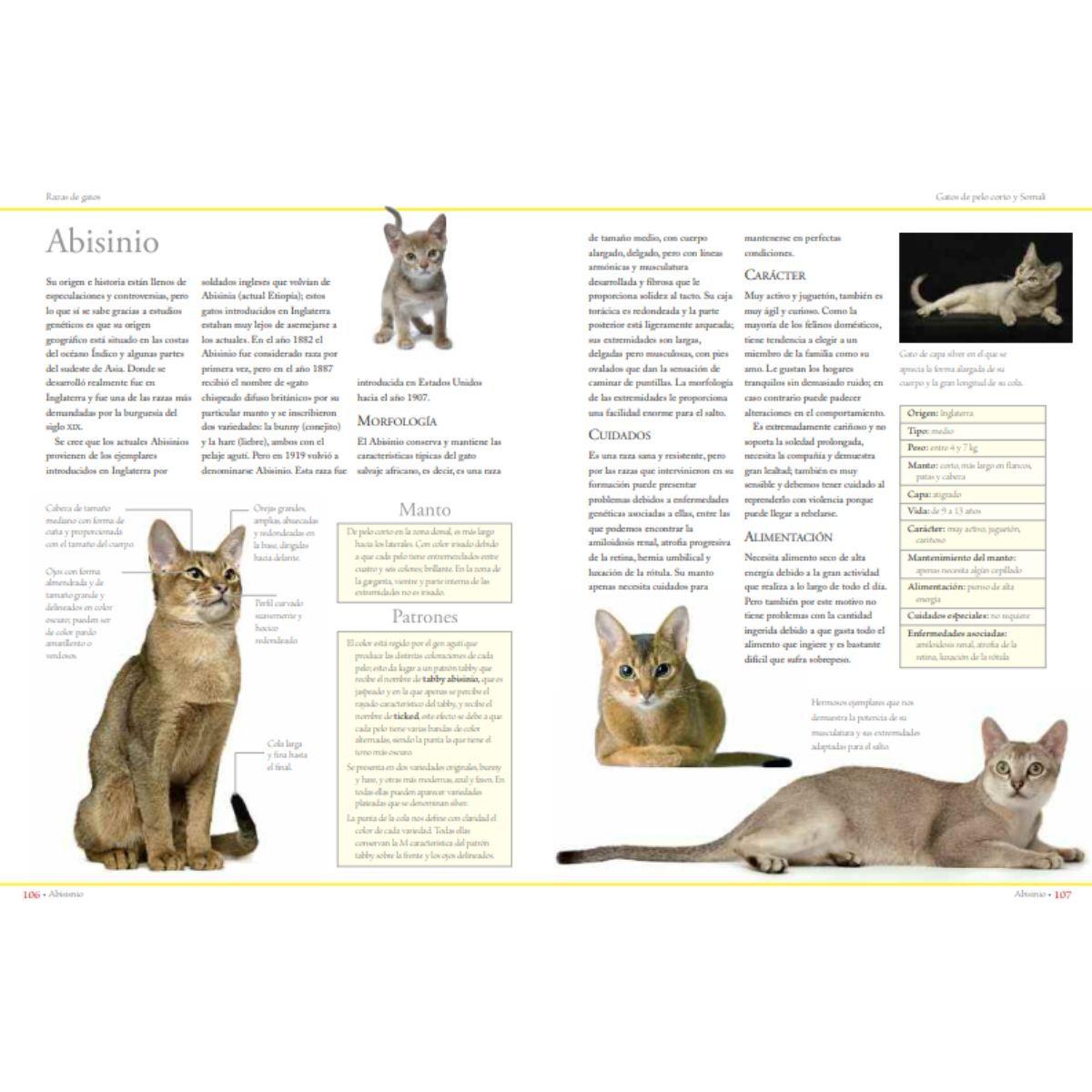 Enciclopedia de las razas de gatos-4