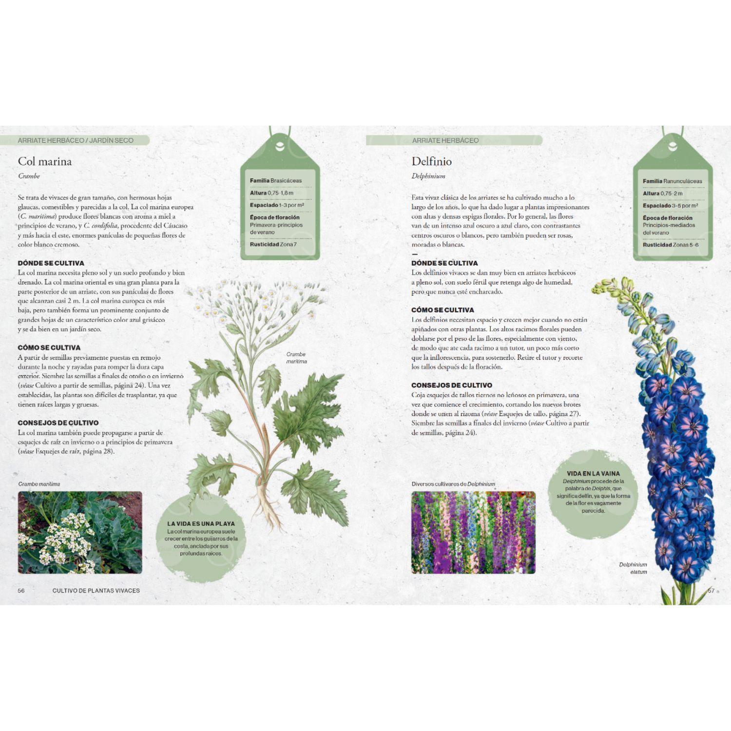 Libro CULTIVAR PLANTAS VIVACES-2
