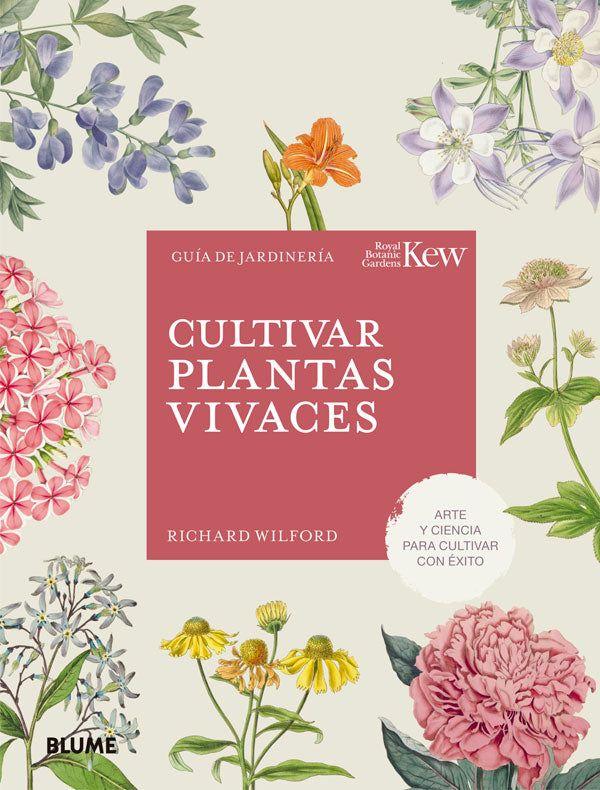 Cultivar plantas vivaces-5