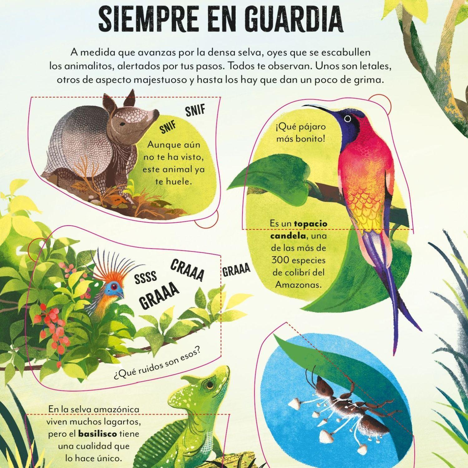Un mundo sorprendente - De viaje por el Amazonas-3