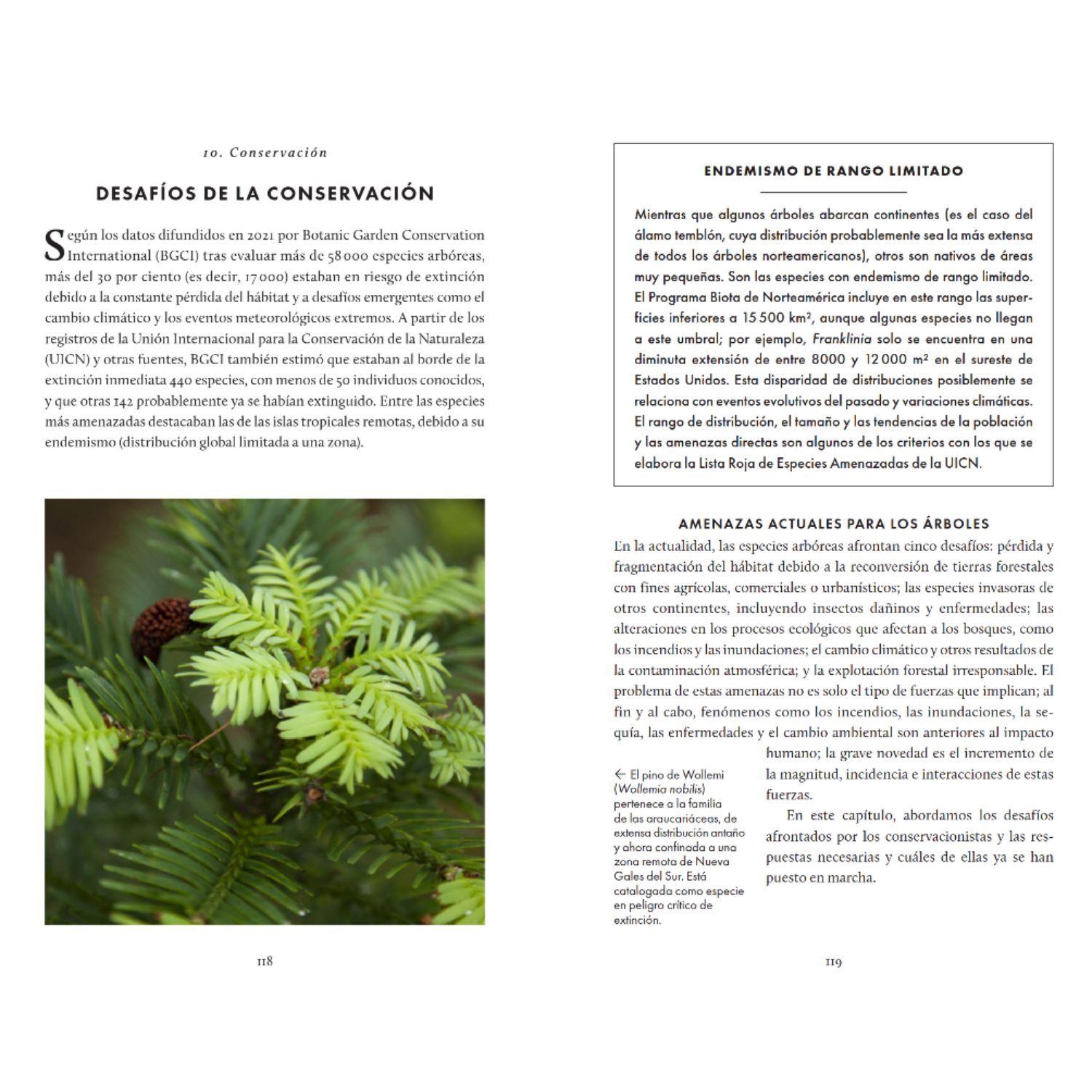 Árboles - Pequeño libro de la naturaleza.-2