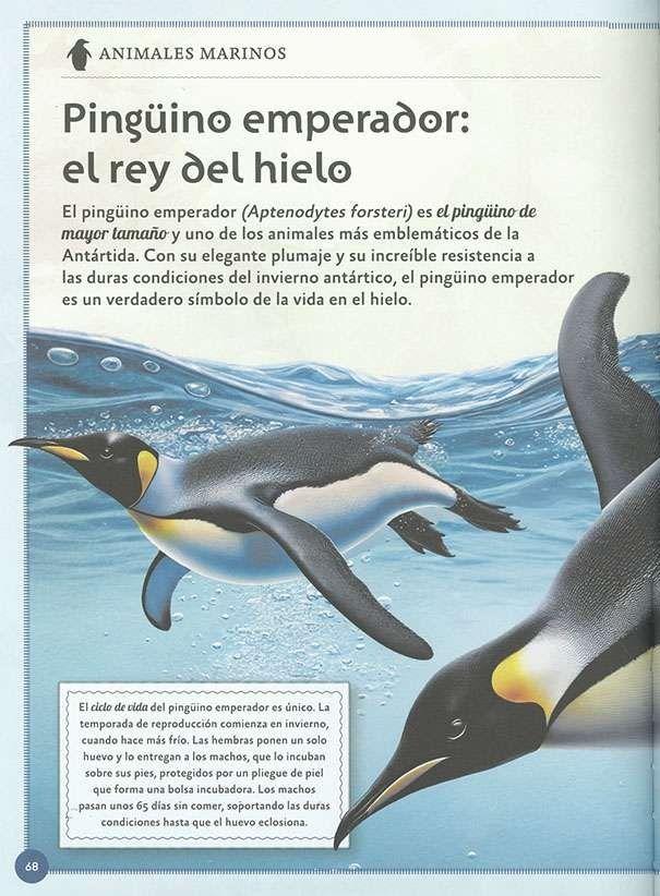 El magnífico libro de los animales marinos-2