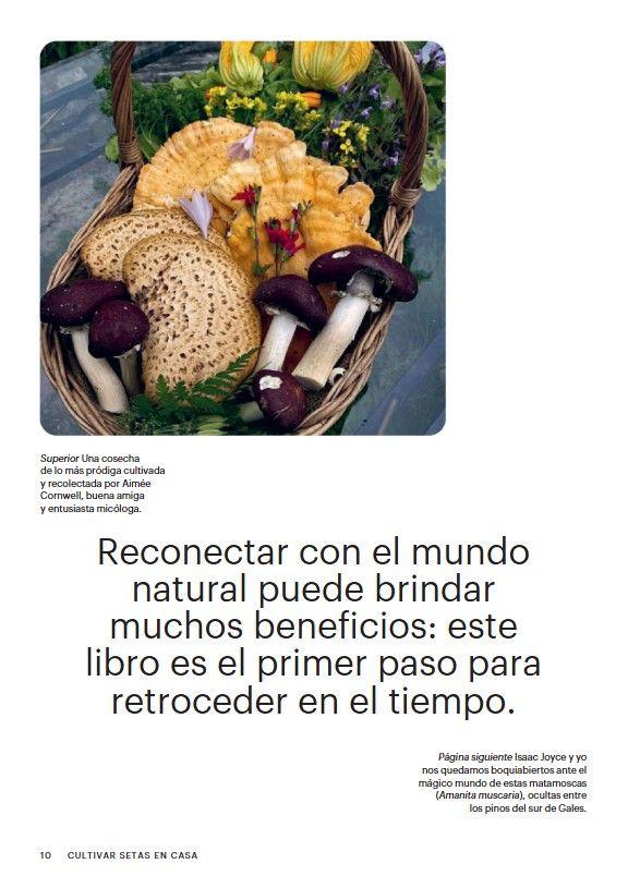 Cultivar setas en casa-2