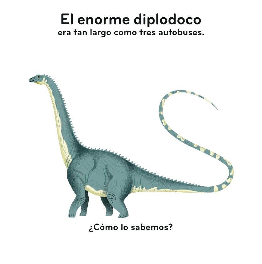 Libro Primeros descubrimientos – Los dinosaurios-3