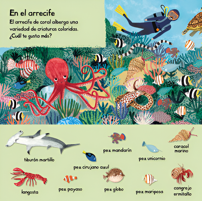 101 criaturas marinas para descubrir-2