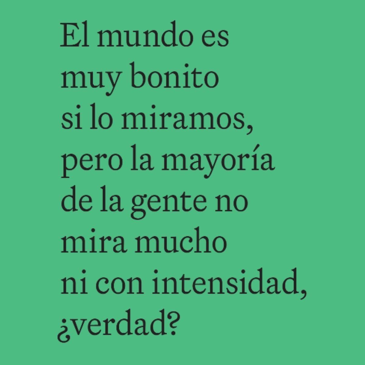 El mundo según David Hockney-2