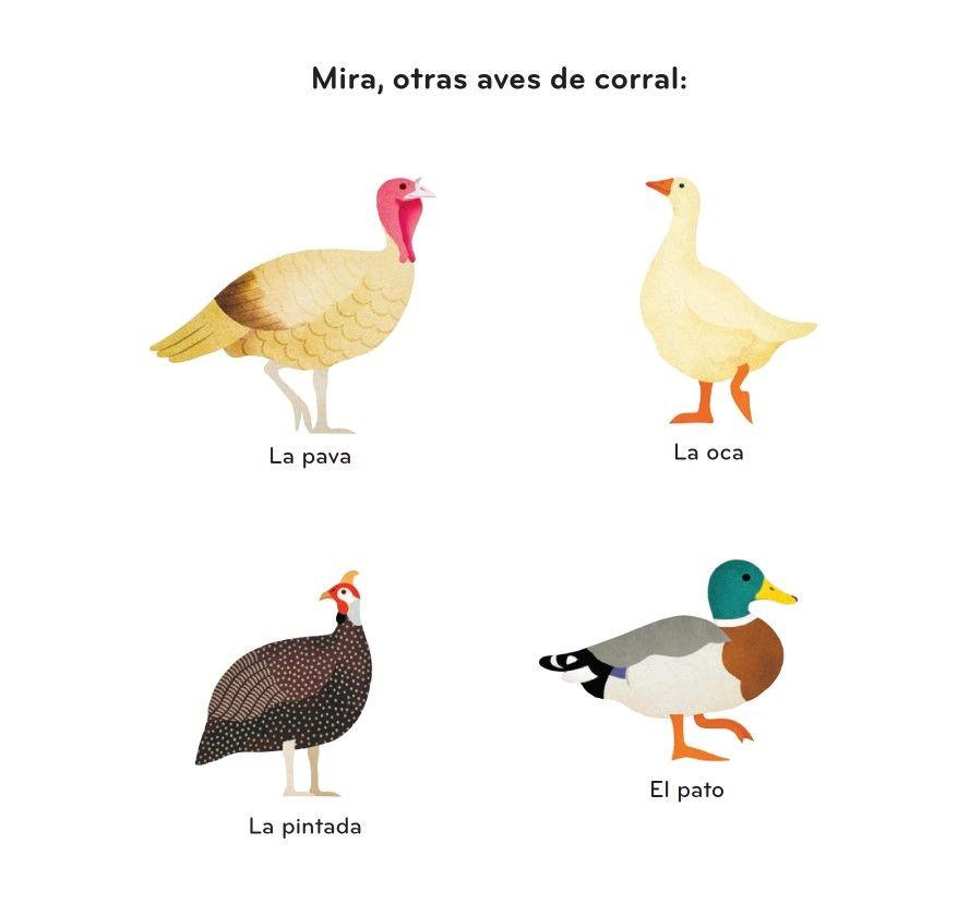Primeros descubrimientos – Los animales de la granja-3