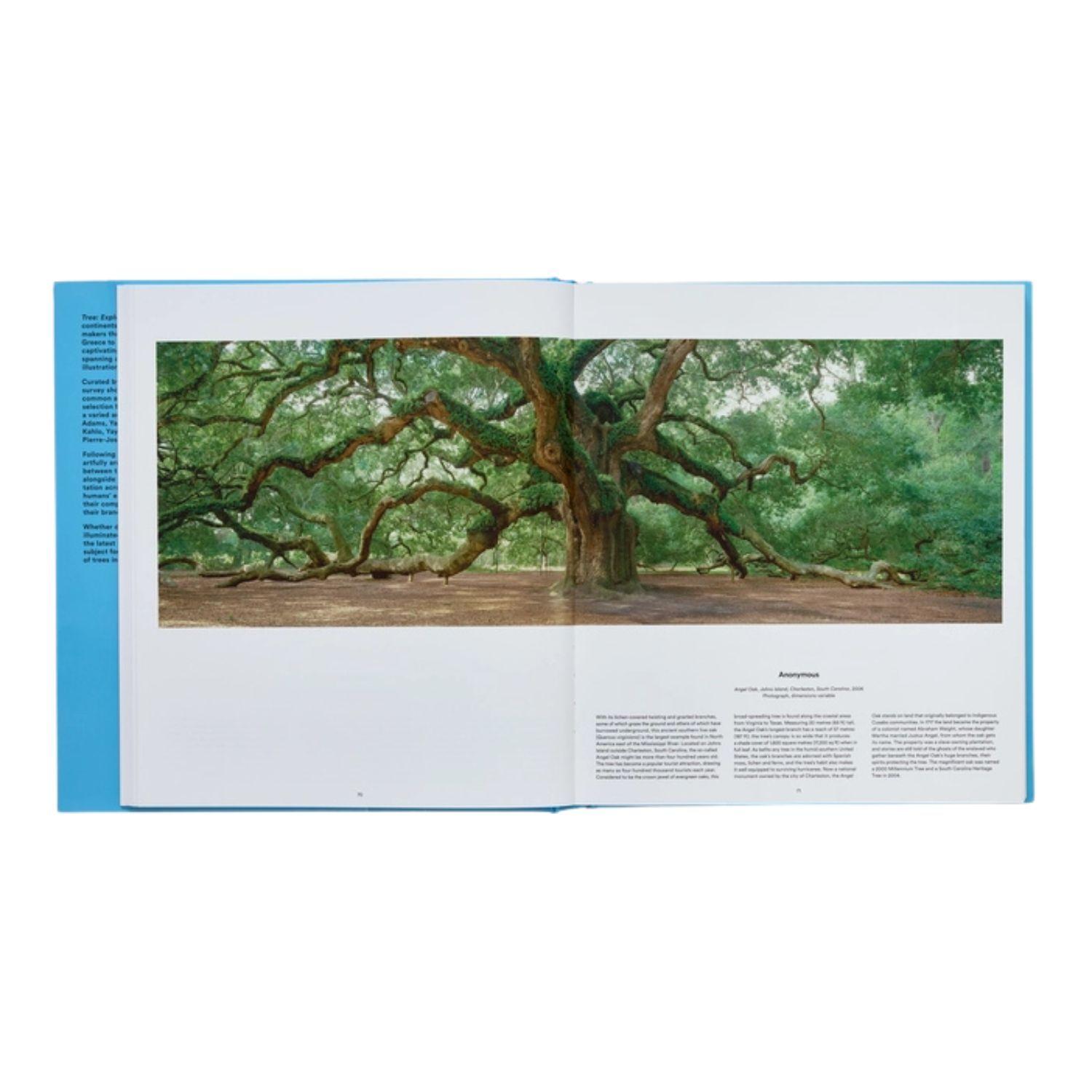 Árboles de Editorial Phaidon-3