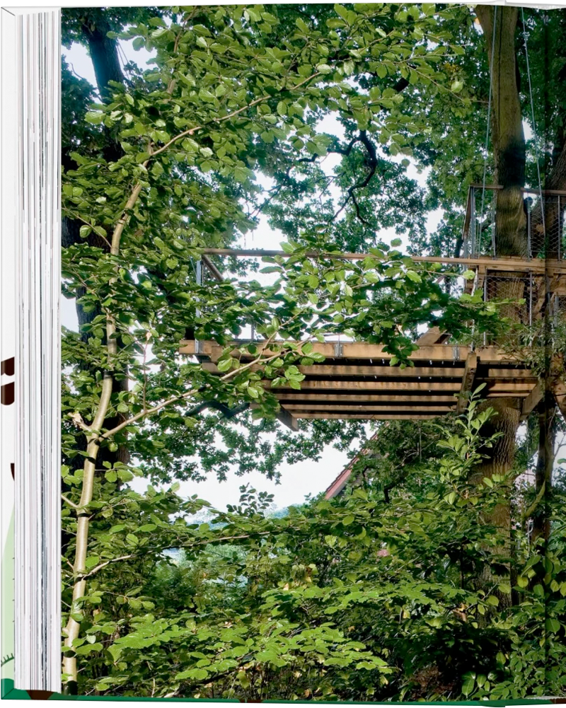 Tree Houses. 40th Ed-8