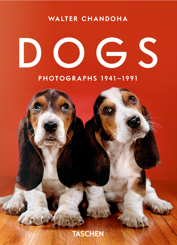 Walter Chandoha. Dogs. Photographs 1941–1991-4