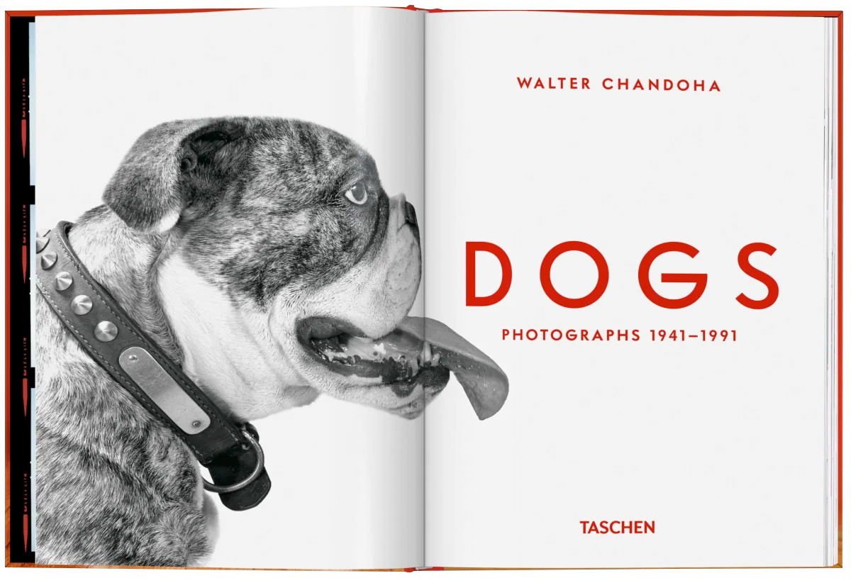Walter Chandoha. Dogs. Photographs 1941–1991-5