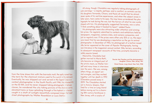 Walter Chandoha. Dogs. Photographs 1941–1991-7