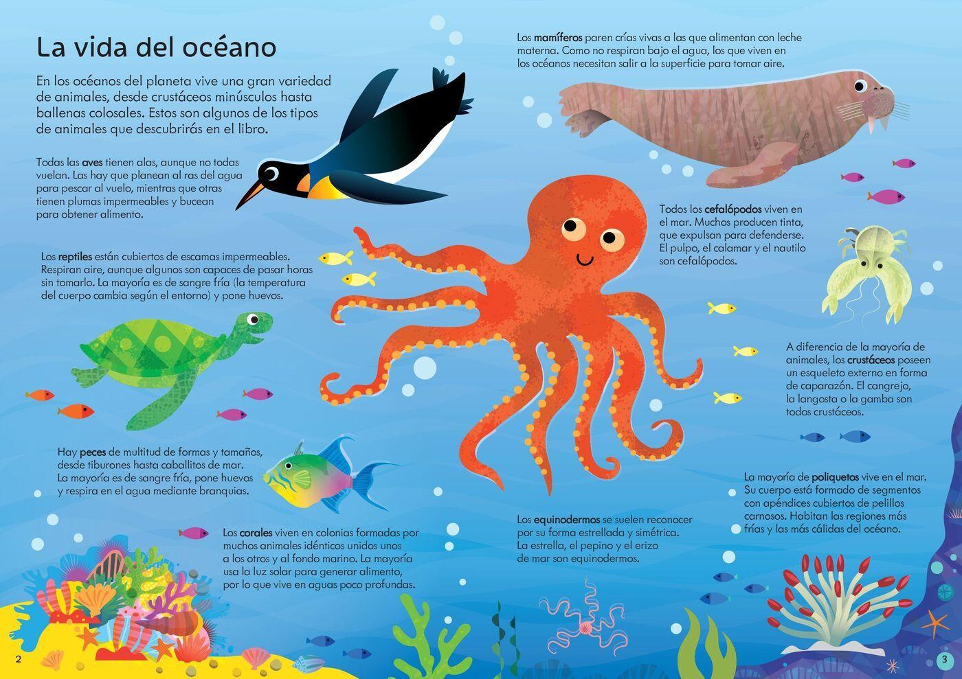 libro y puzzle - EN EL OCEANO (300 piezas)-1