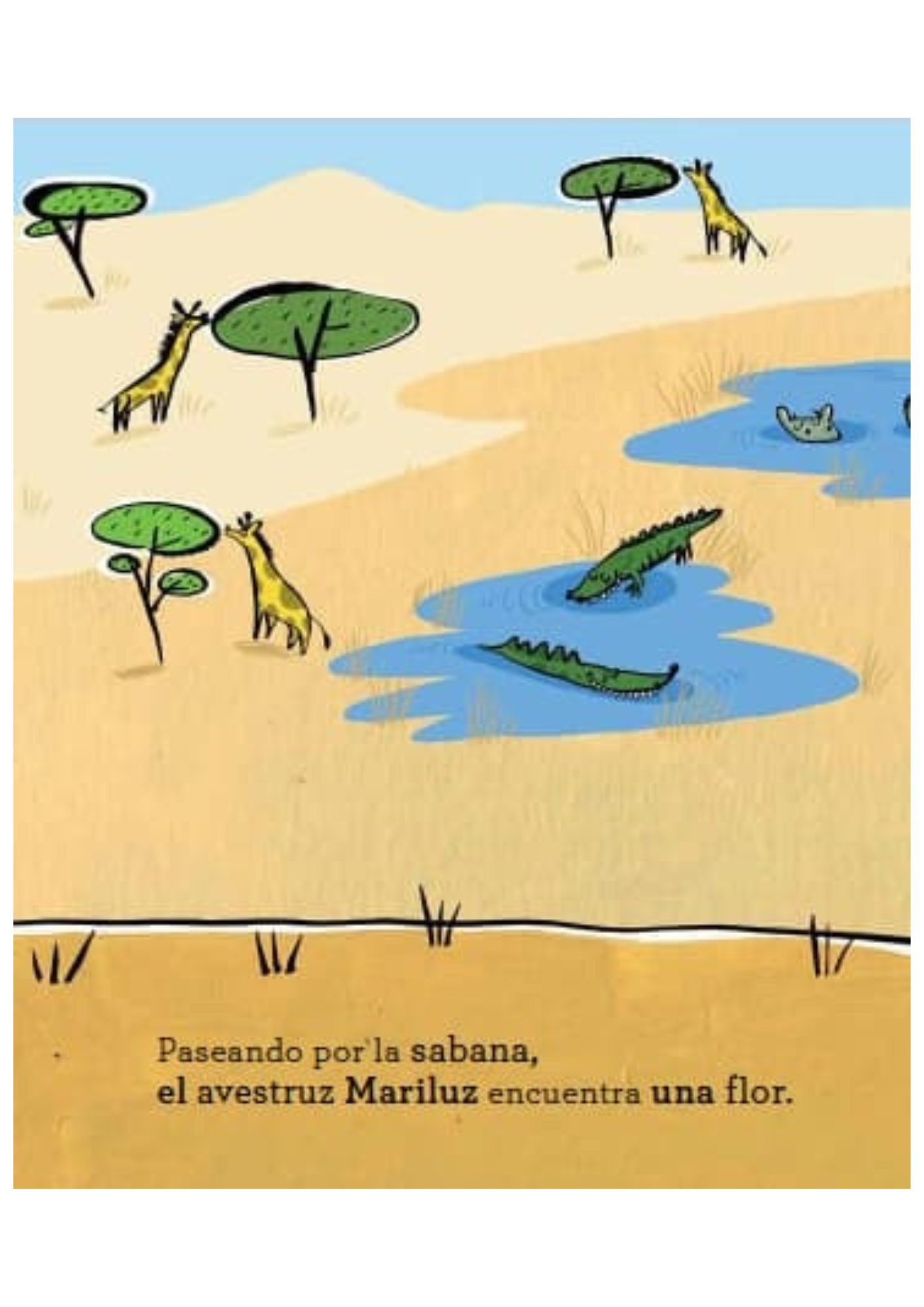 Un Avestruz Con Mucha Luz-3