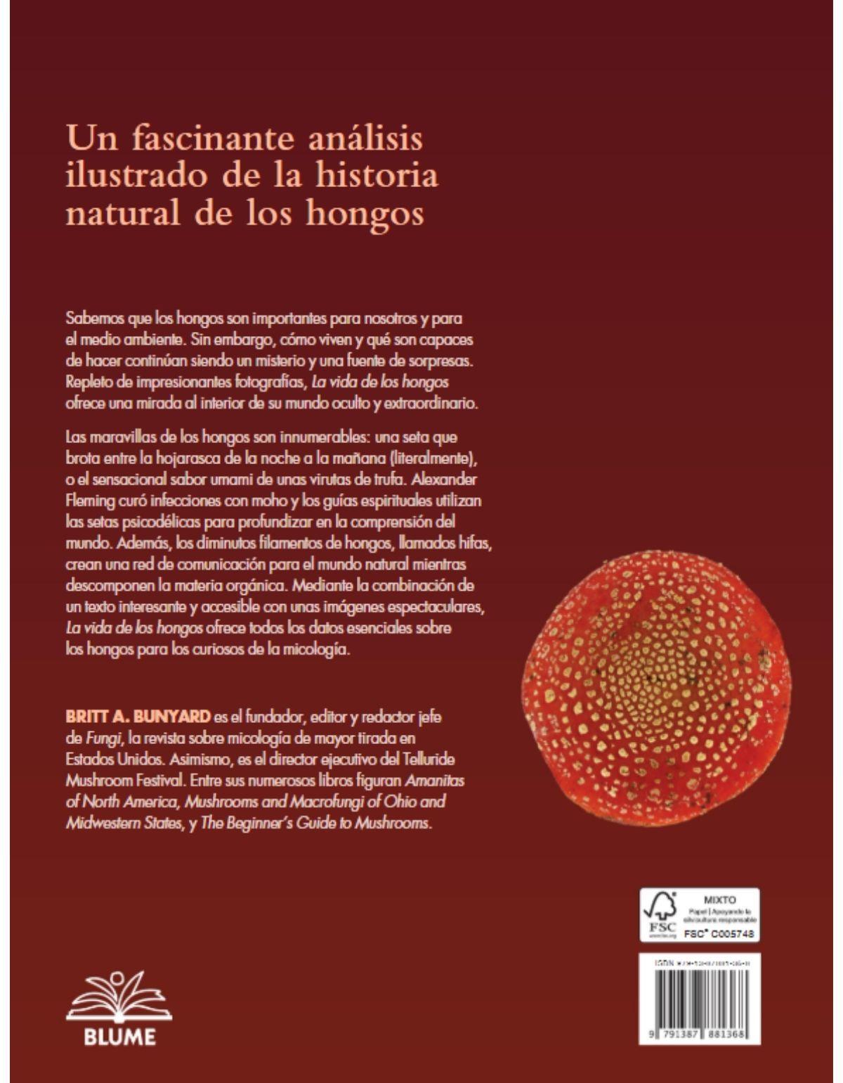 La vida de los hongos-2