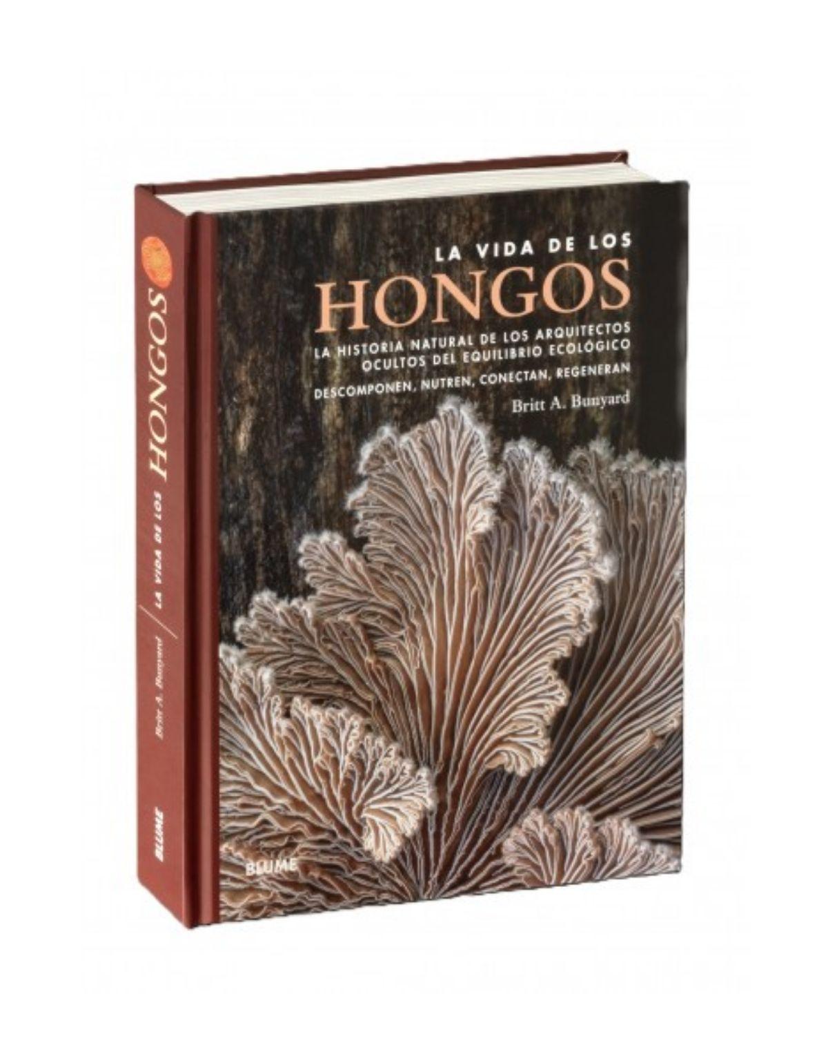 La vida de los hongos-3
