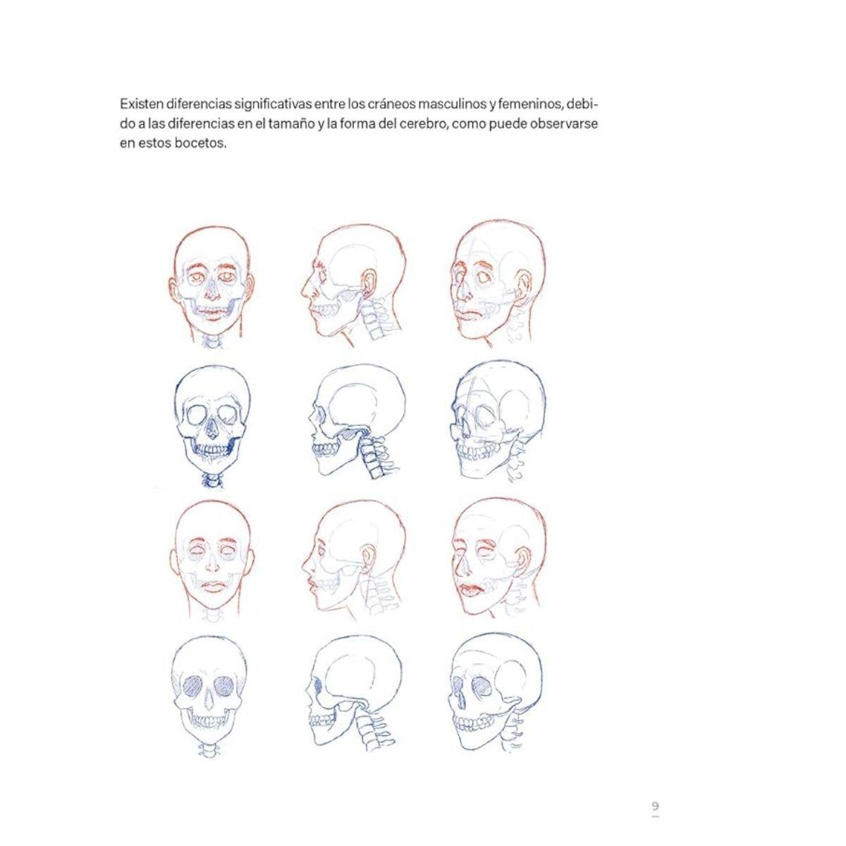 Aprende a dibujar caras-2