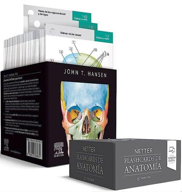 Netter. Flashcards de anatomía 6ed.-4
