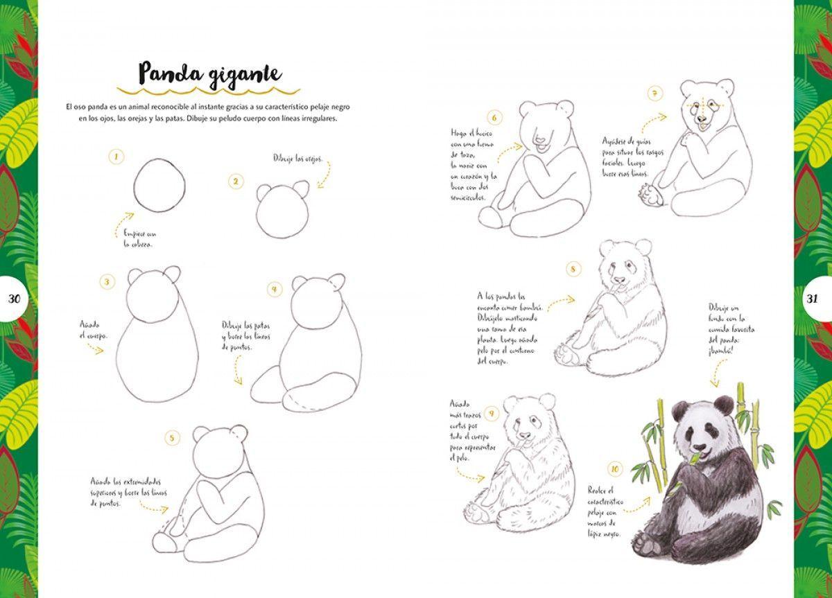 Libro Dibujar En 10 Pasos - Animales-3