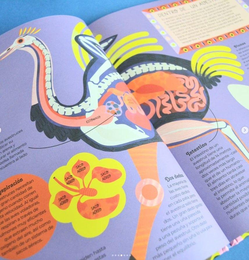 Libro Animales Por Dentro-2